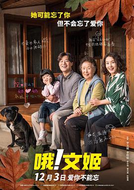 电脑怎么更新显卡驱动