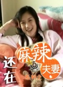 一本岛高清v不卡免费一三区