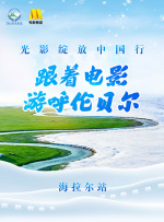 妻子的深情