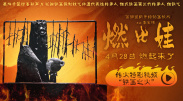 美女视频一区二区三区在线
