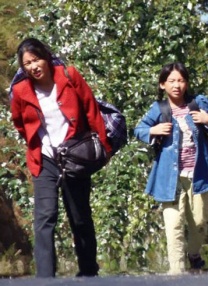 视频福利一区