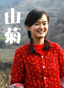 av网在线