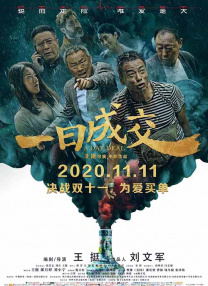 老司机精品视频免费观看